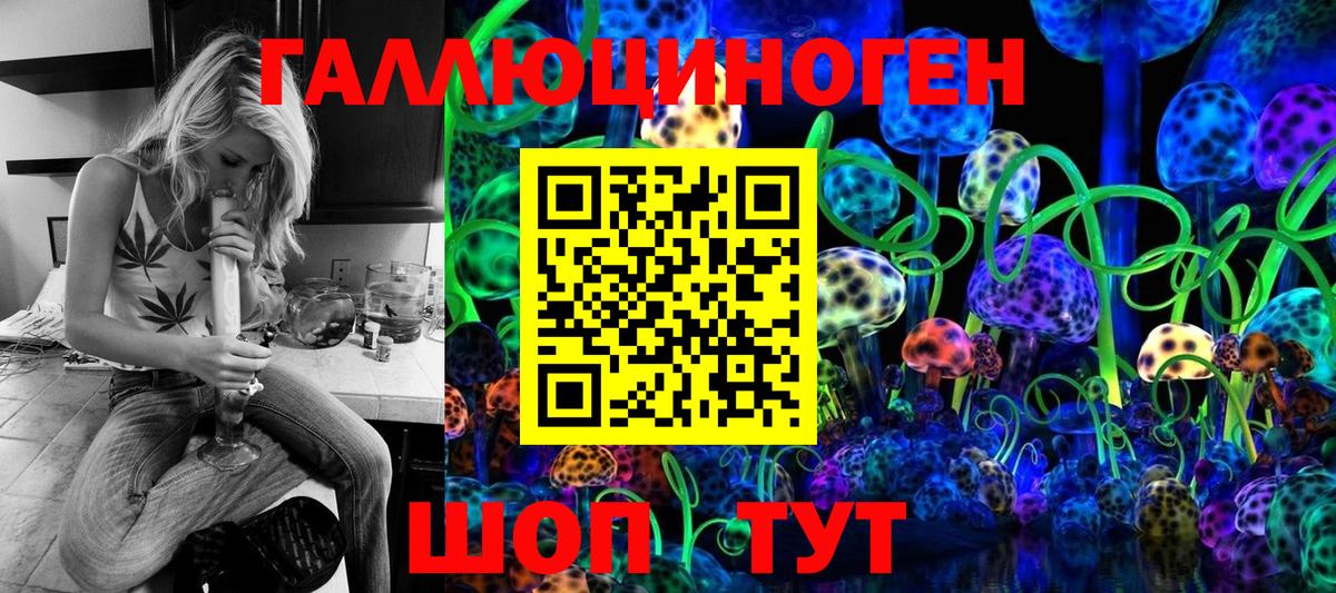 где найти   Галлюциногенные грибы прущие грибы  Вход с VPN  Тамбов 